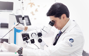 vph guadalajara vph guadalajara